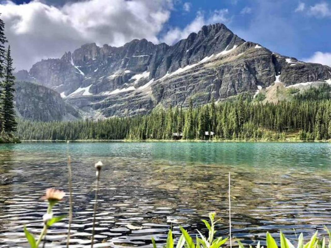 Falcon Crest Lodge 1 Bedroom Condo With Gym & Hot-Tubs & Mountain View Canmore Exterior foto